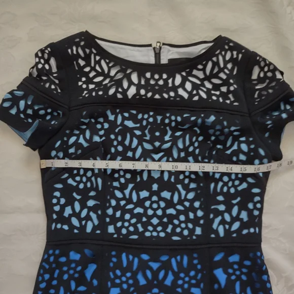 Shani ombre laser cut lace sheath luxury dress short sleeves wearable art